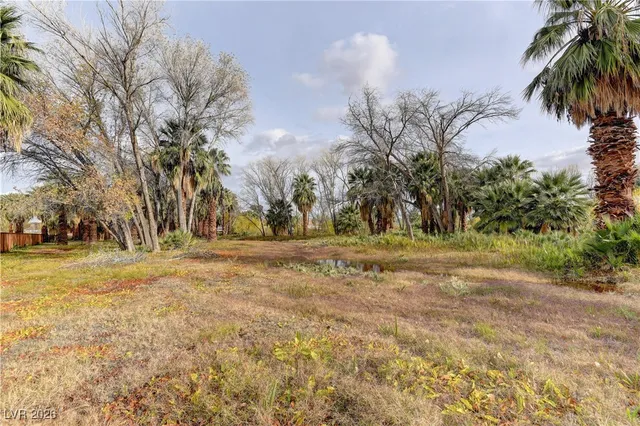 $5,395,000 | 4255 Highway 168, Moapa, NV 89025