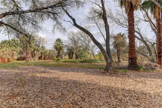 $5,395,000 | 4255 Highway 168, Moapa, NV 89025