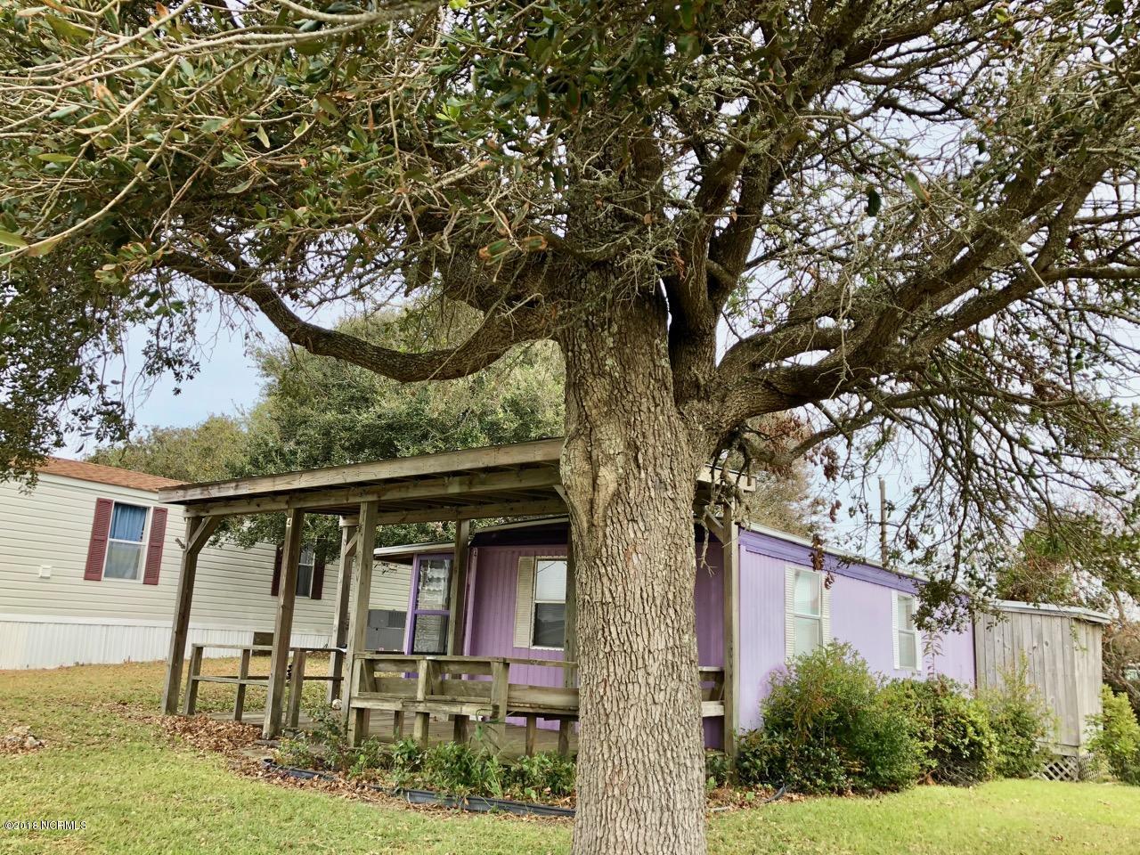 Oak tree