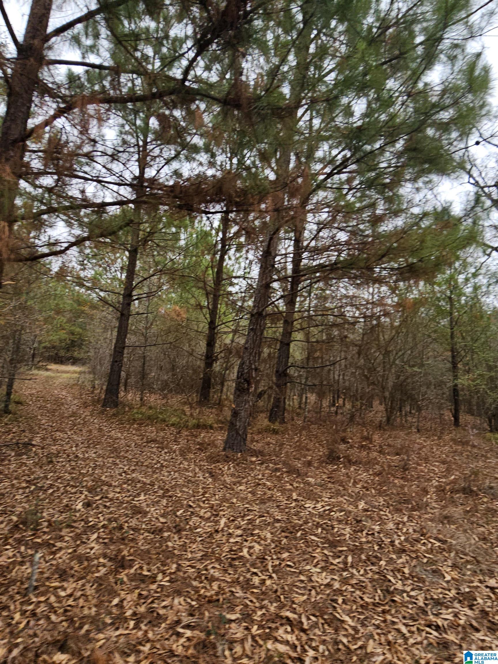 0 County Road 724 Calera, AL 35040 - Photo 14 of 18
