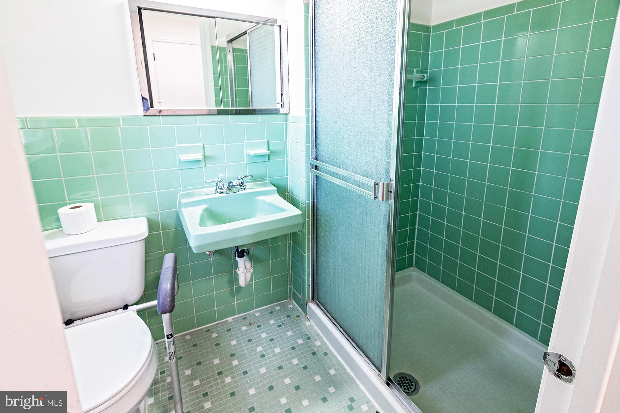 16 Bemis Road Newark, DE 19711 - Photo 24 of 38 Master Bath