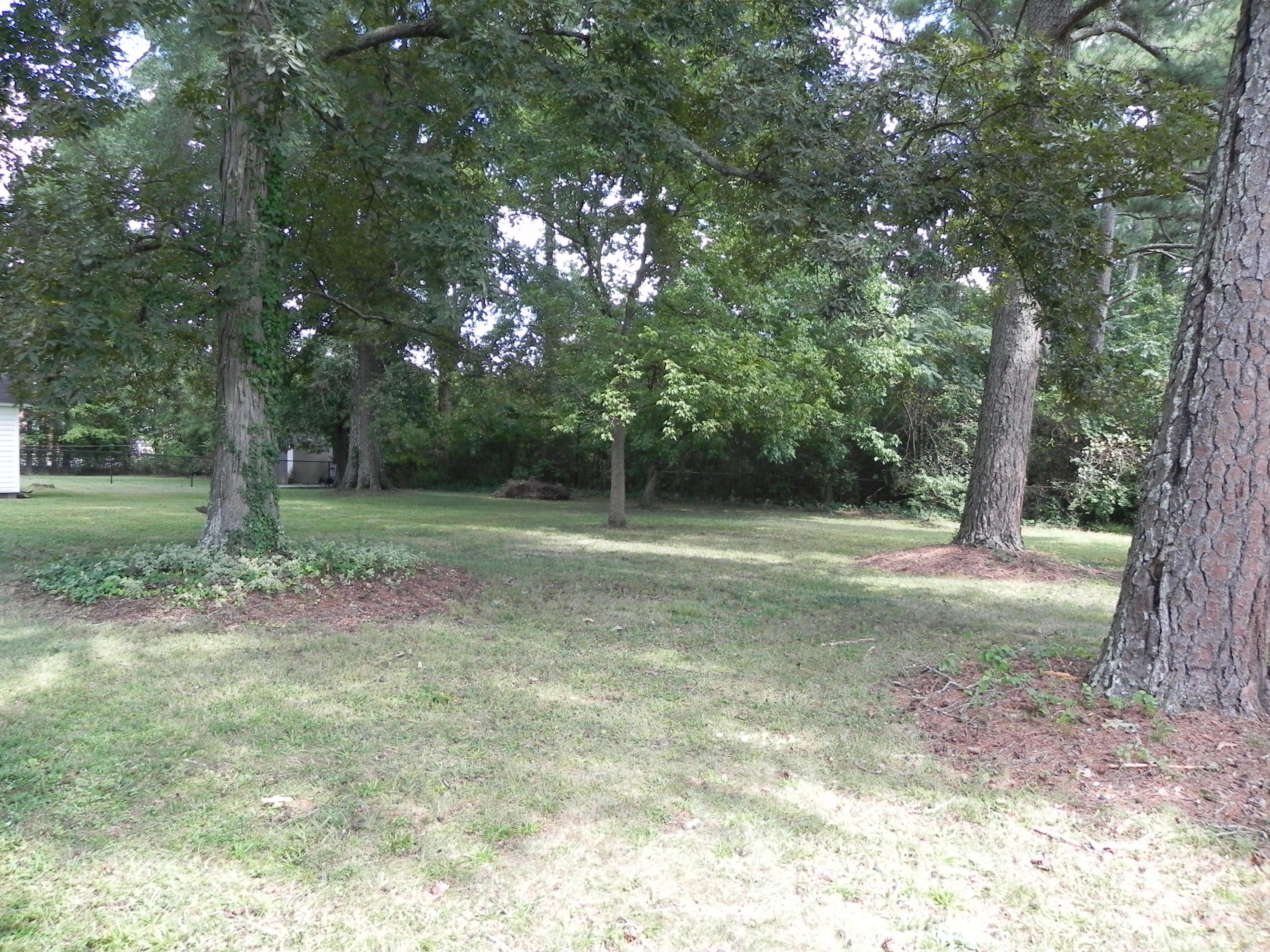 1336 Joiner Road Chattanooga, TN 37421 - Photo 54 of 57 DSCN0307