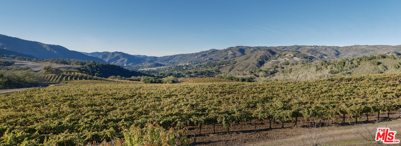 20300 Cachagua Road Carmel Valley, CA 93924 - Photo 23 of 37 a view of a dry yard with mountains in the background