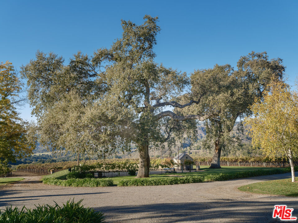 20300 Cachagua Road Carmel Valley, CA 93924 - Photo 24 of 37 an outdoor view with yard