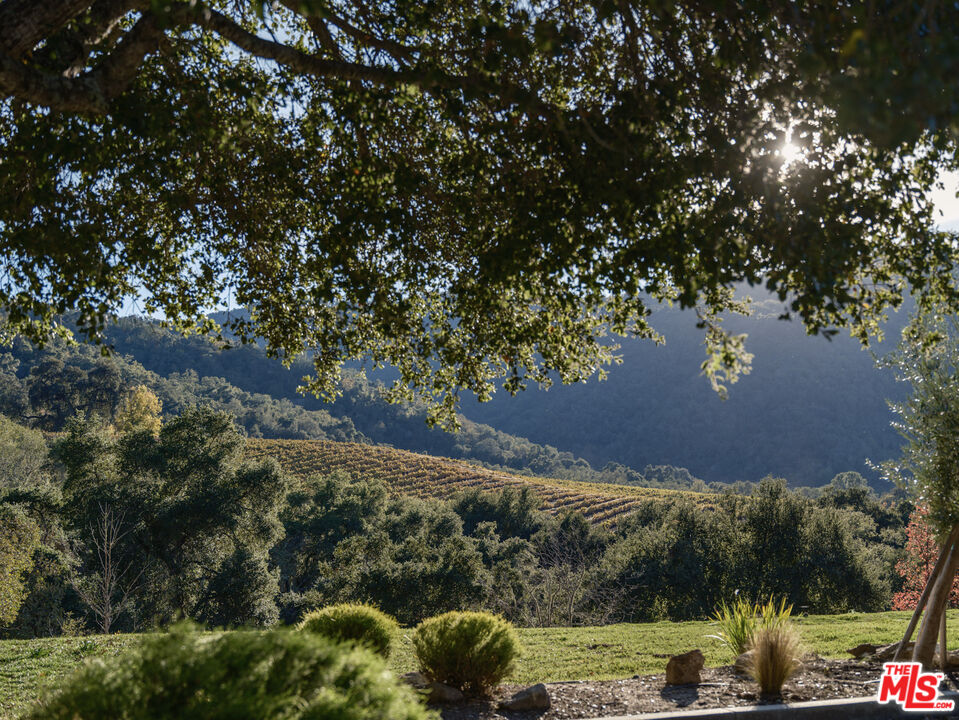 20300 Cachagua Road Carmel Valley, CA 93924 - Photo 27 of 37 a view of a street with a tree