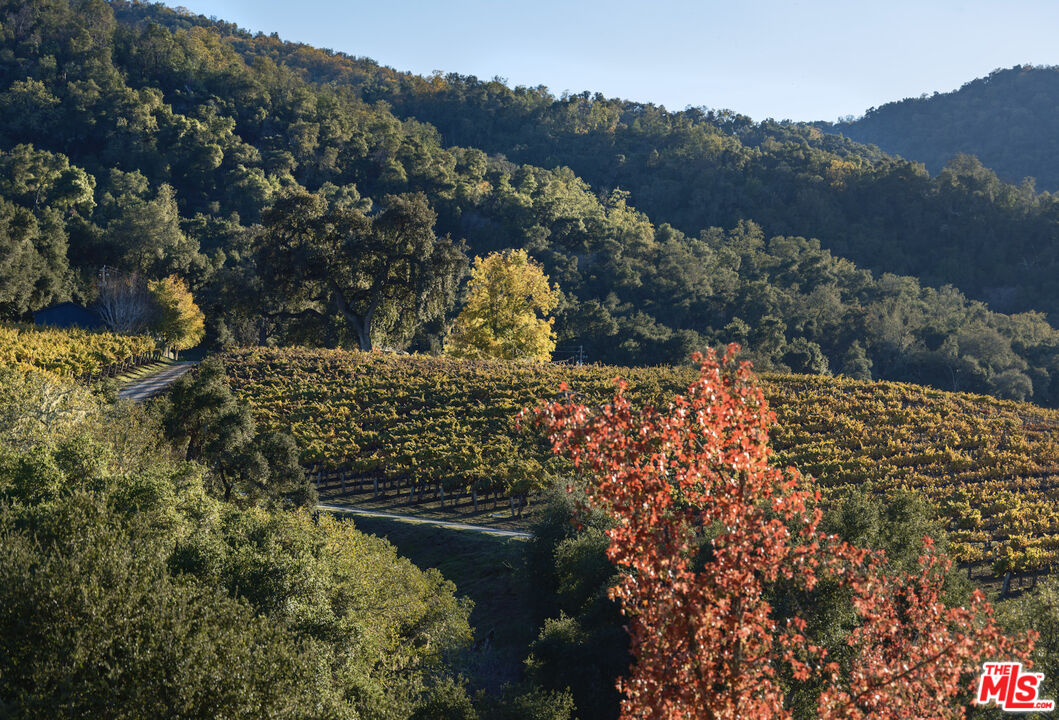20300 Cachagua Road Carmel Valley, CA 93924 - Photo 30 of 37