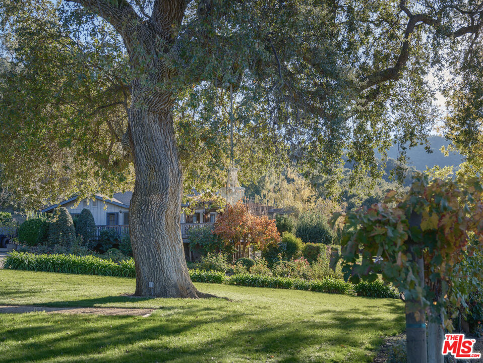 20300 Cachagua Road Carmel Valley, CA 93924 - Photo 9 of 37 a view of a park
