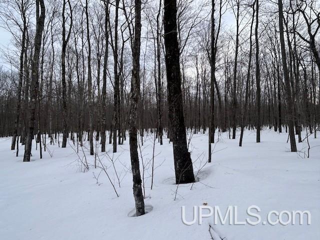 53554 North Superior Road Houghton, MI 49931 - Photo 26 of 41