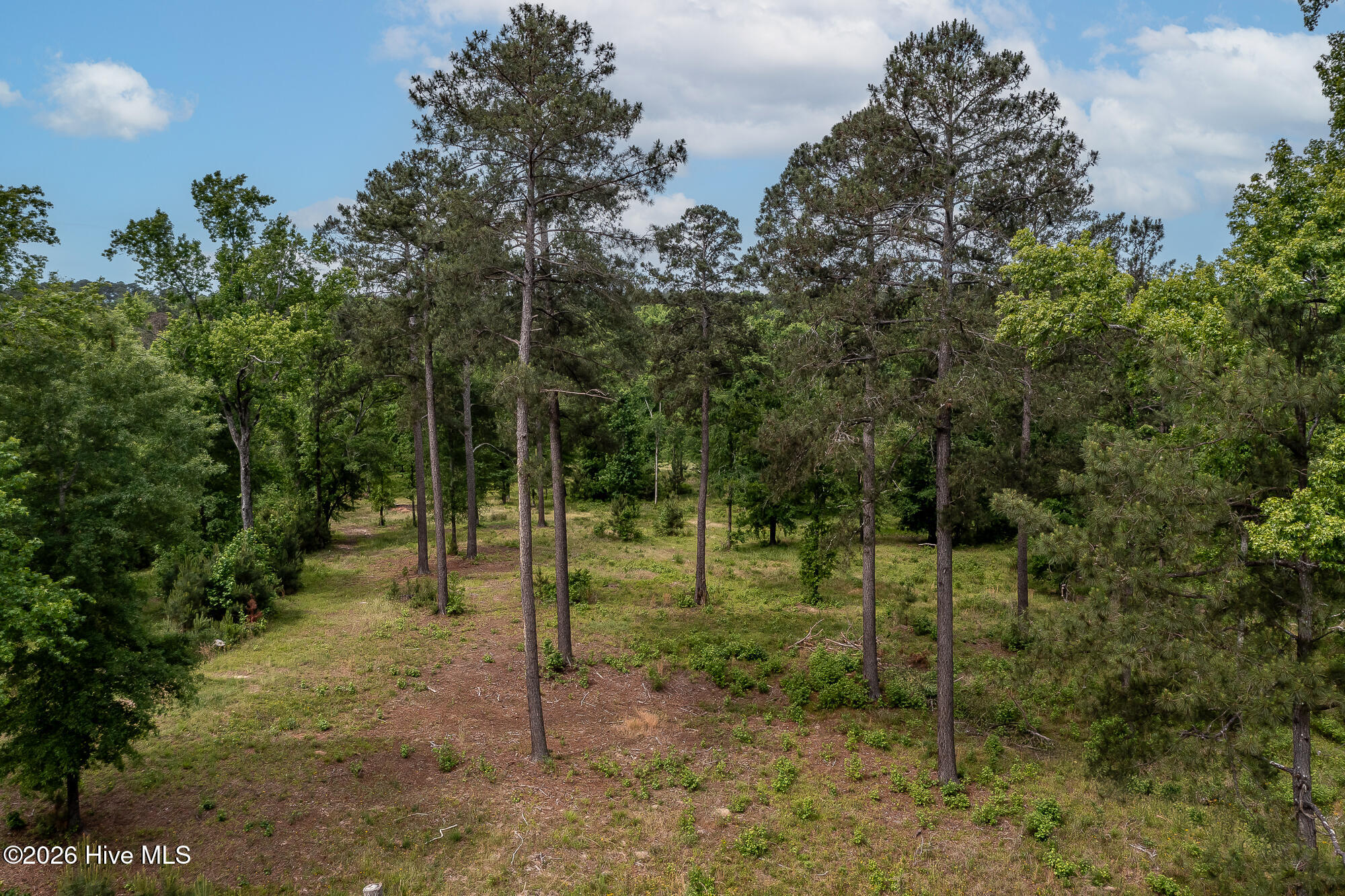 755 Louisville Road Grovetown, GA 30813 - Photo 1 of 35 755 LOUISVILLE RD ©--10