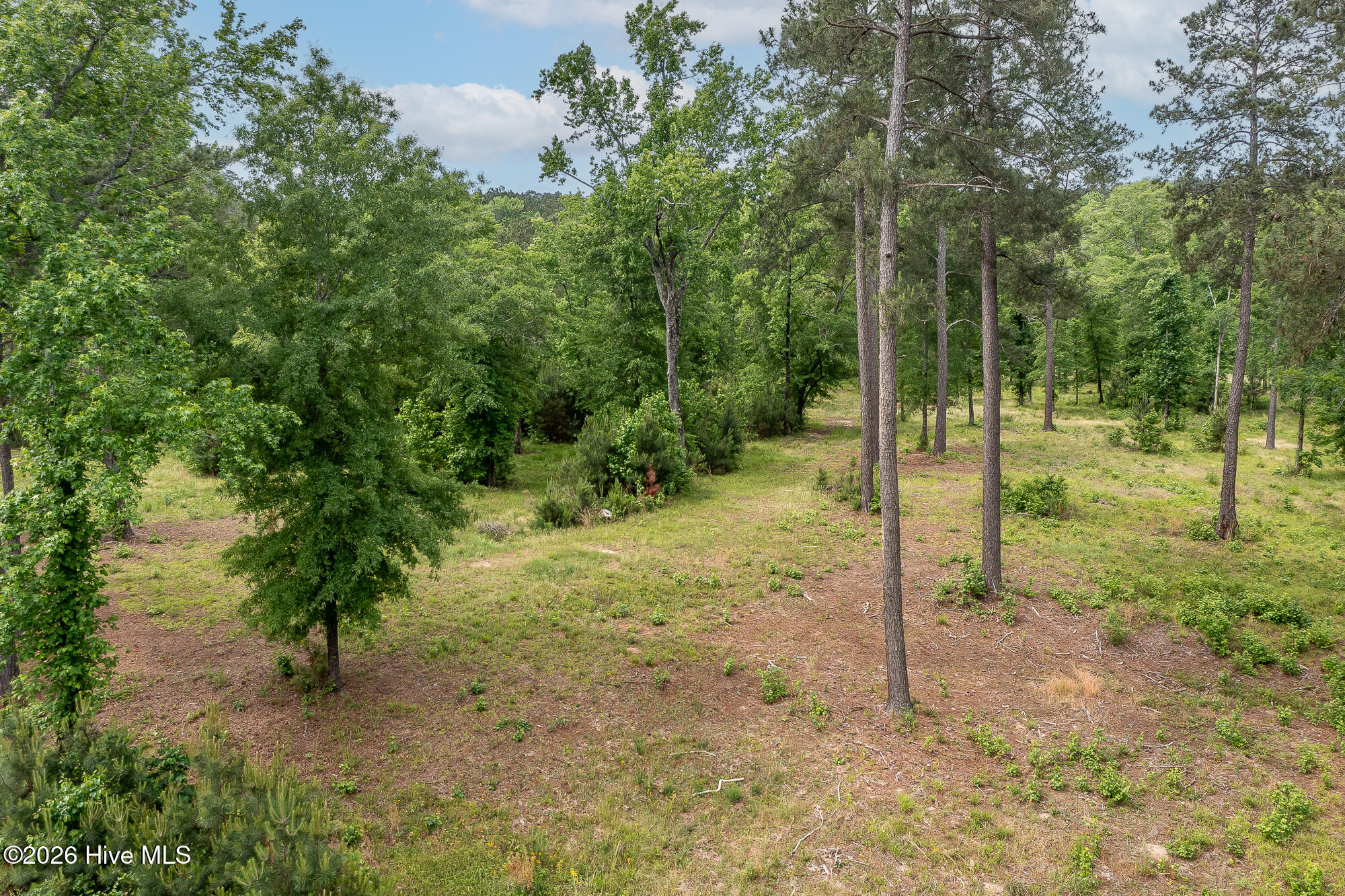 755 Louisville Road Grovetown, GA 30813 - Photo 3 of 35 755 LOUISVILLE RD ©--12