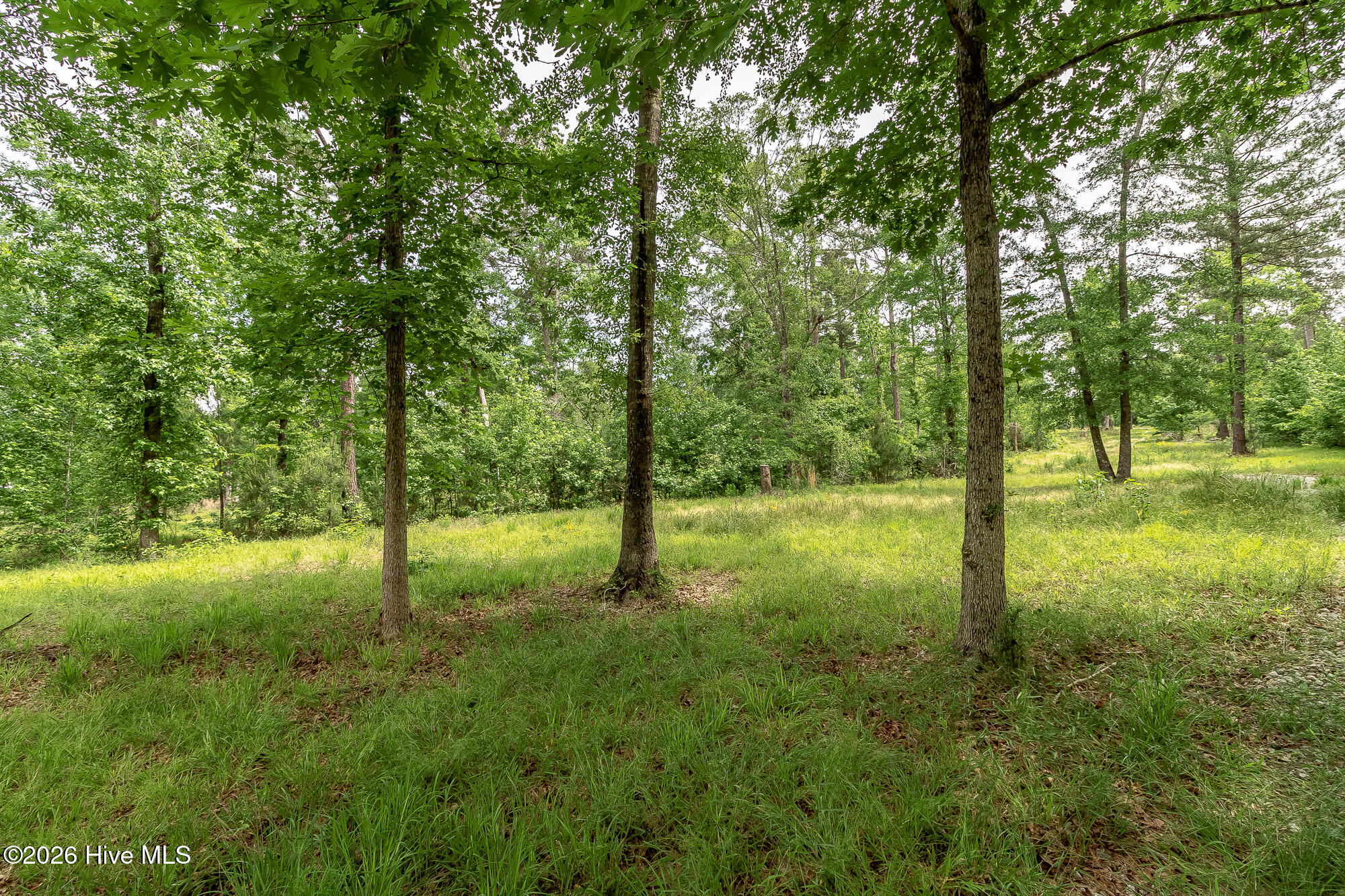 755 Louisville Road Grovetown, GA 30813 - Photo 33 of 35 755 LOUISVILLE RD ©-1225