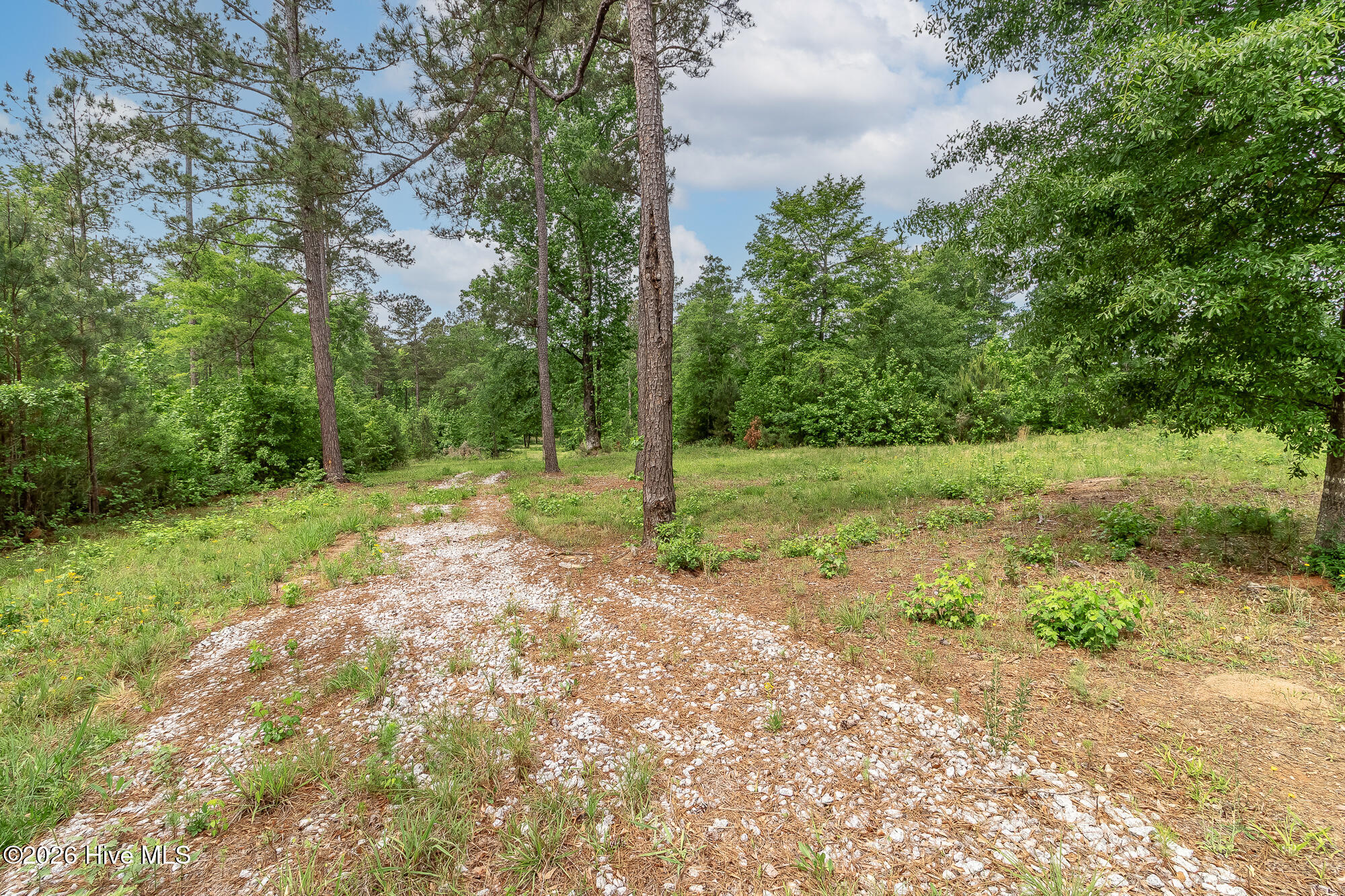 755 Louisville Road Grovetown, GA 30813 - Photo 4 of 35 755 LOUISVILLE RD ©--2