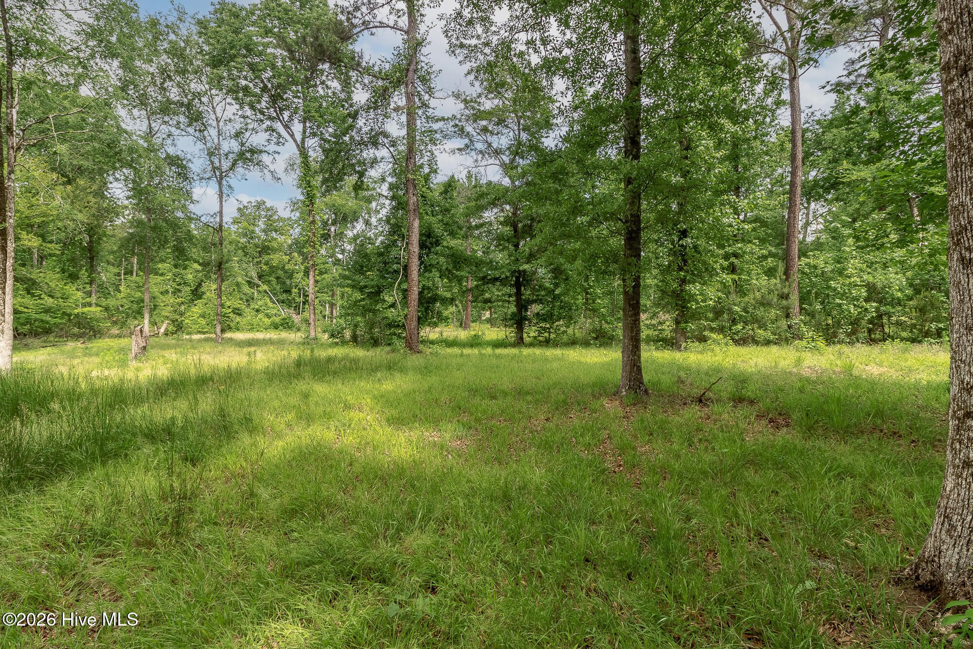 755 Louisville Road Grovetown, GA 30813 - Photo 6 of 35 755 LOUISVILLE RD ©--4