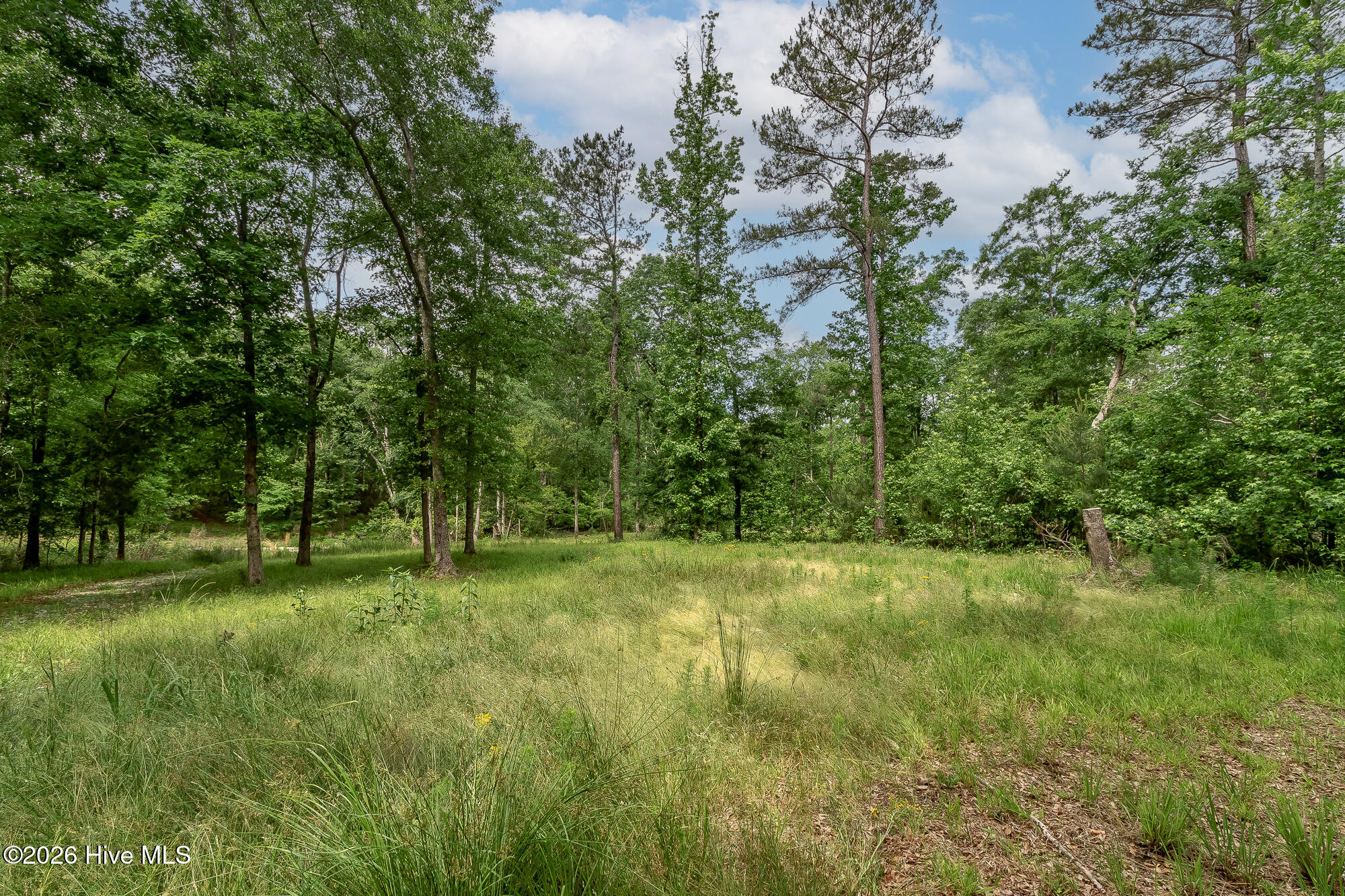 755 Louisville Road Grovetown, GA 30813 - Photo 9 of 35 755 LOUISVILLE RD ©--7