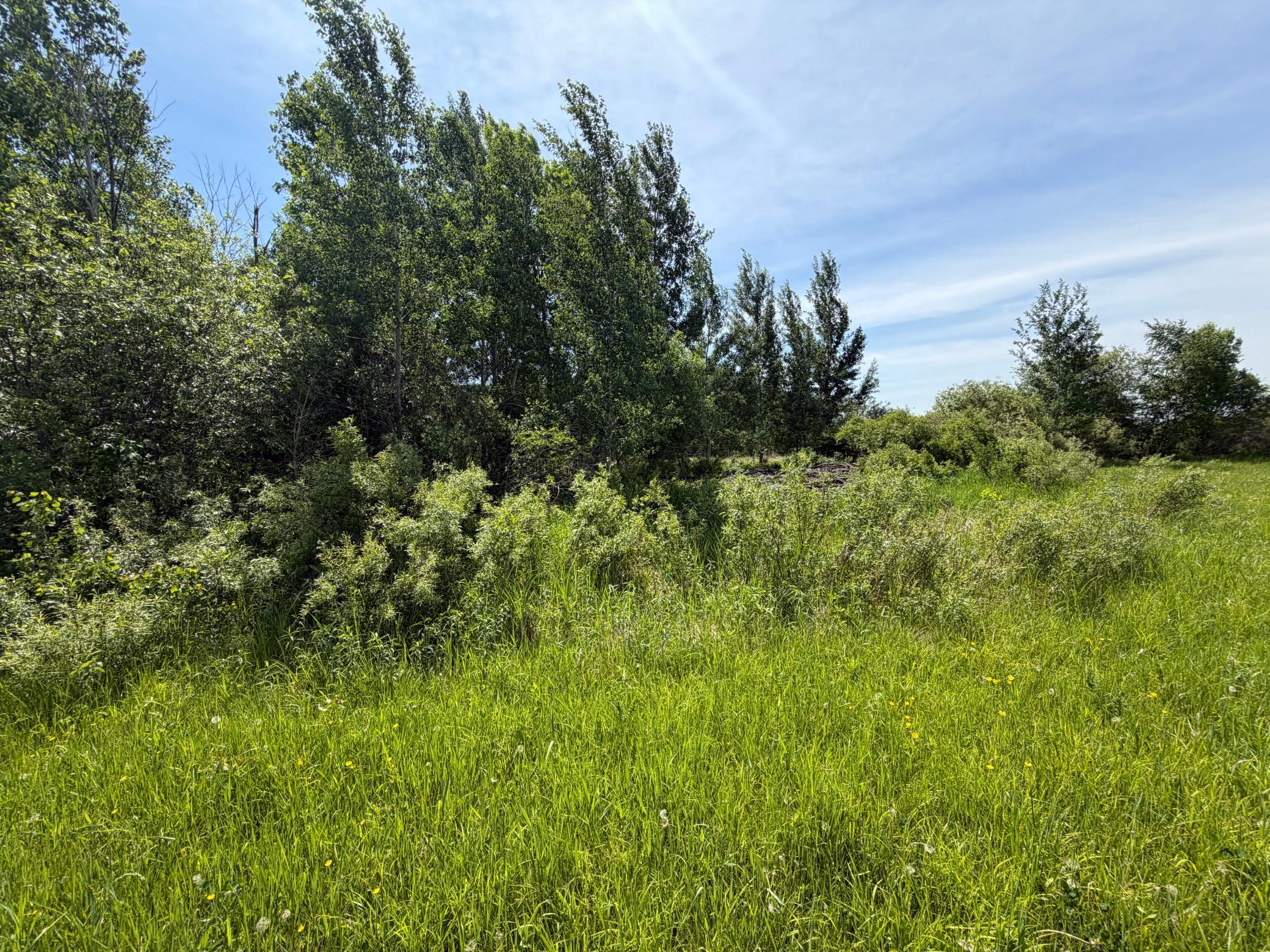 Tbd-b 180th Street Milaca, MN 56353 - Photo 9 of 80