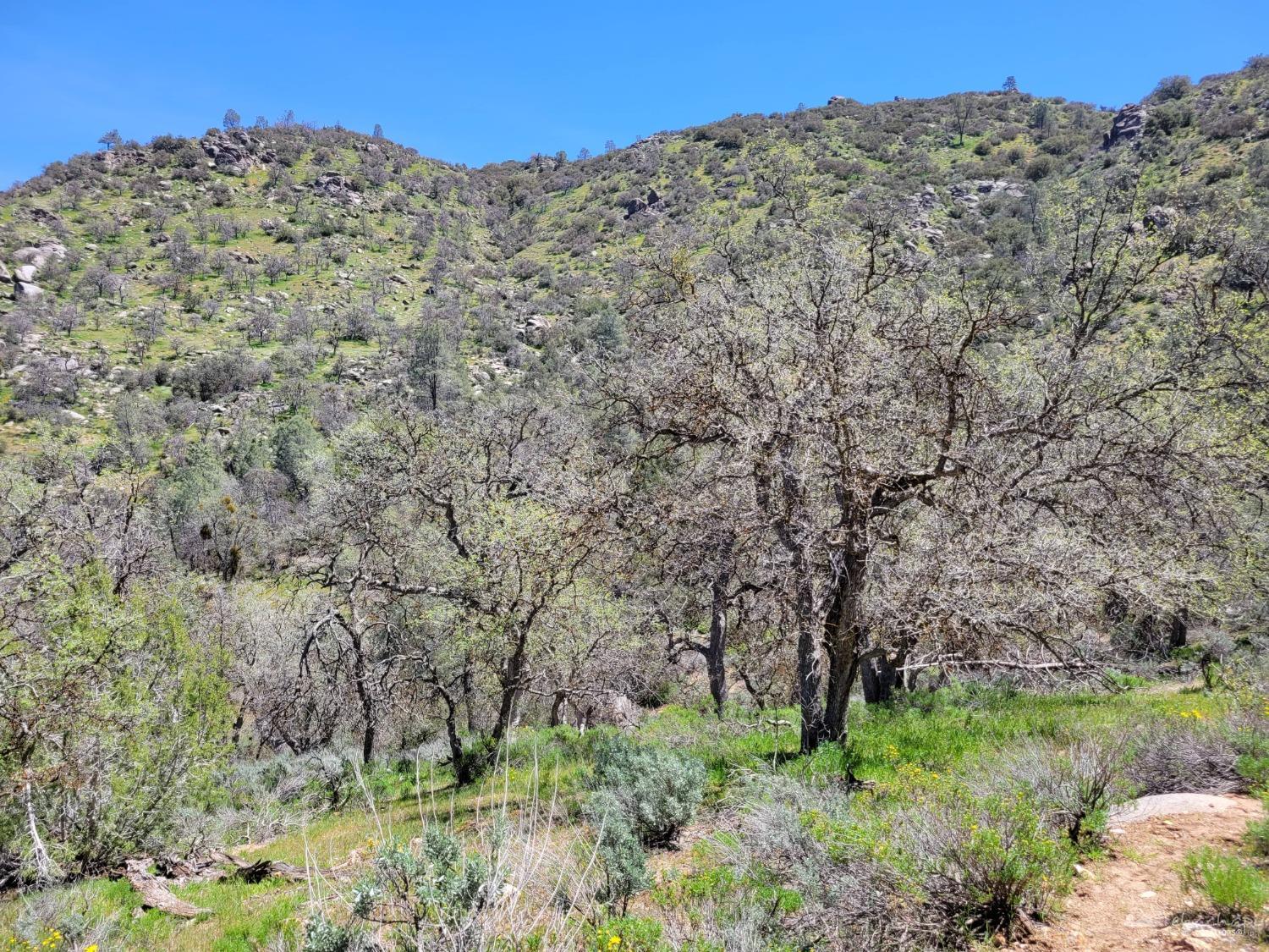 0 John Fremont Road Caliente, CA 93518 - Photo 23 of 39 Gallery Image 23