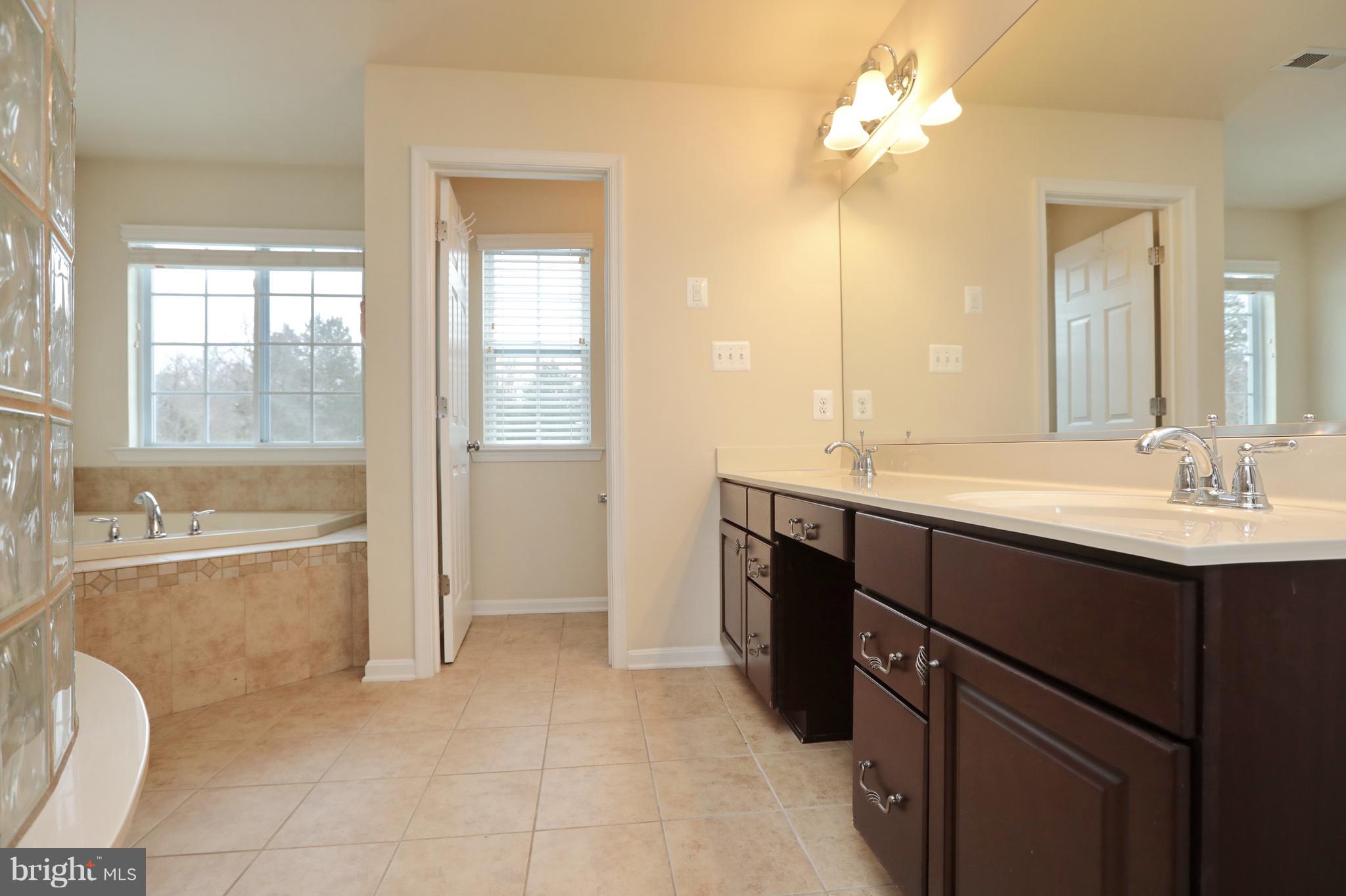 7580 Knotting Hill Lane Port Tobacco, MD 20677 - Photo 20 of 30 a bathroom with a sink a tub and a mirror