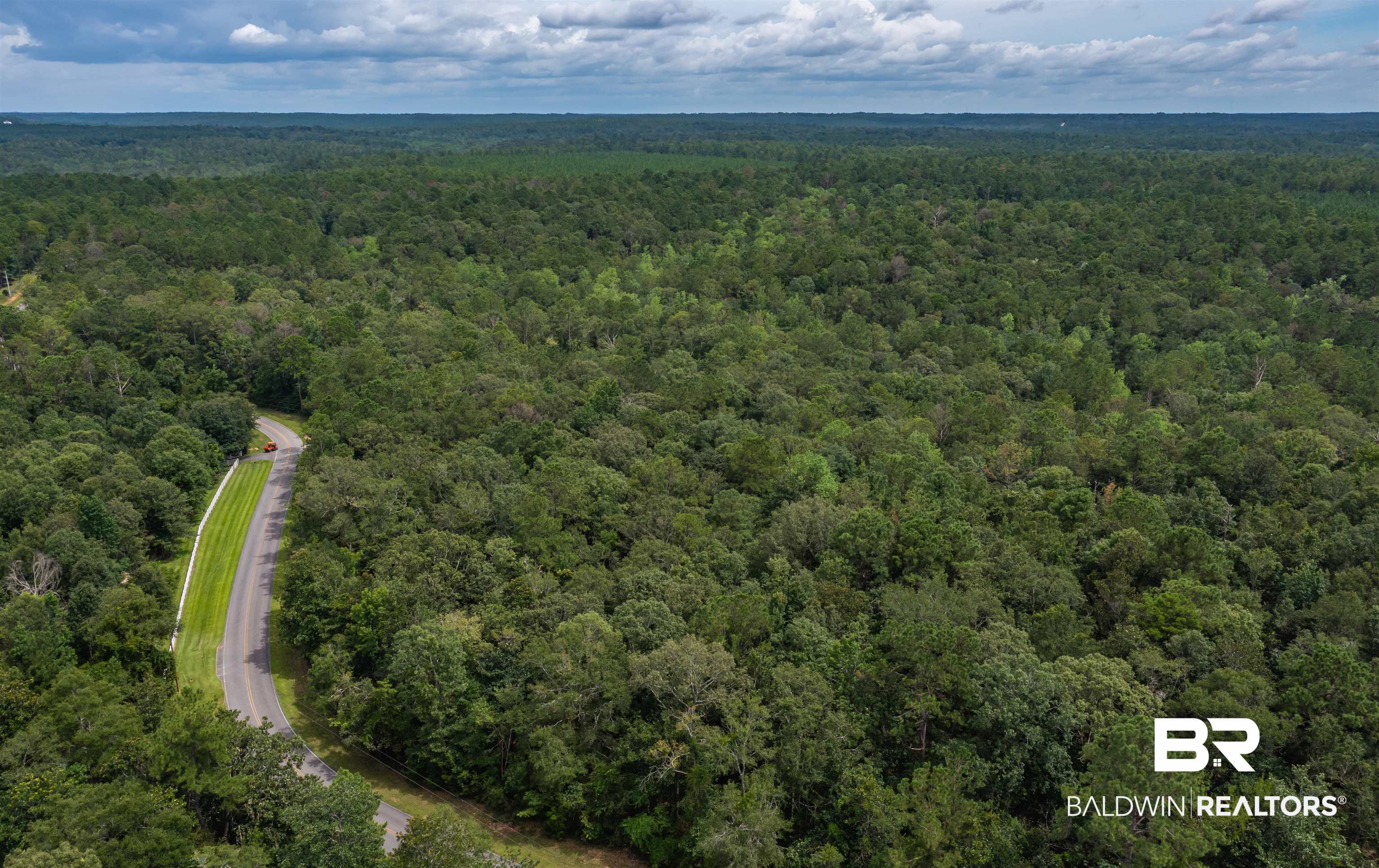 0 Patricks Ldg Road Bay Minette, AL 36507 - Photo 4 of 13