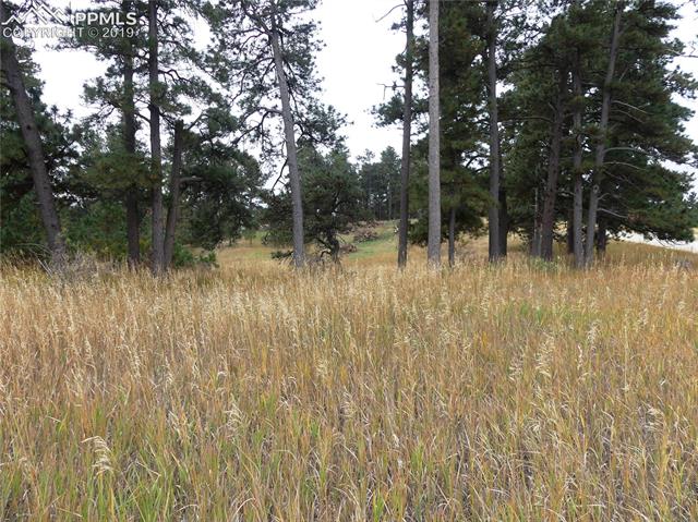 18115 Cumbres Road Peyton, CO 80831 - Photo 9 of 16 Gallery Image 9