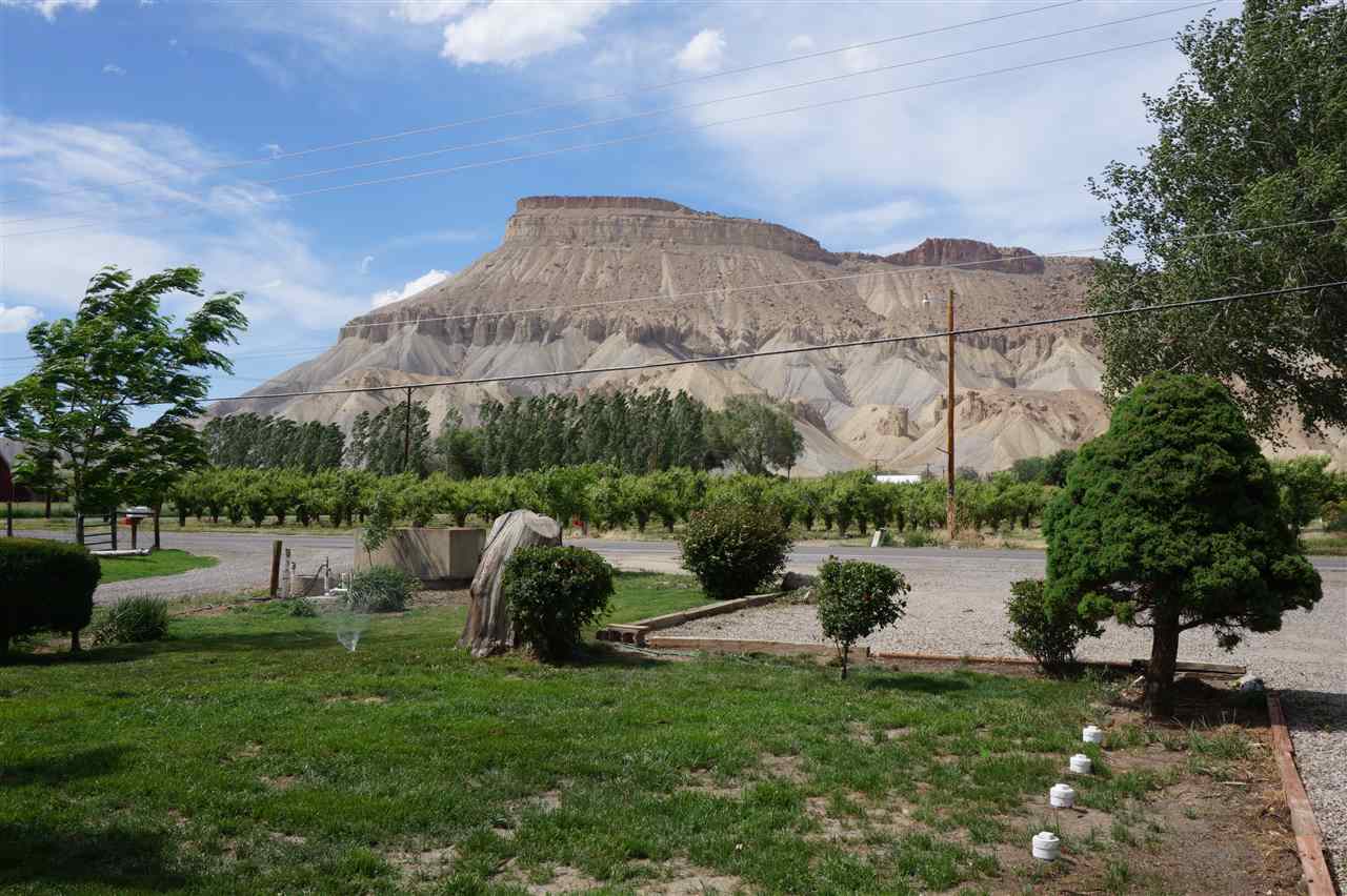 3539 G Road Palisade, CO 81526 - Photo 2 of 21 Gallery Image 2