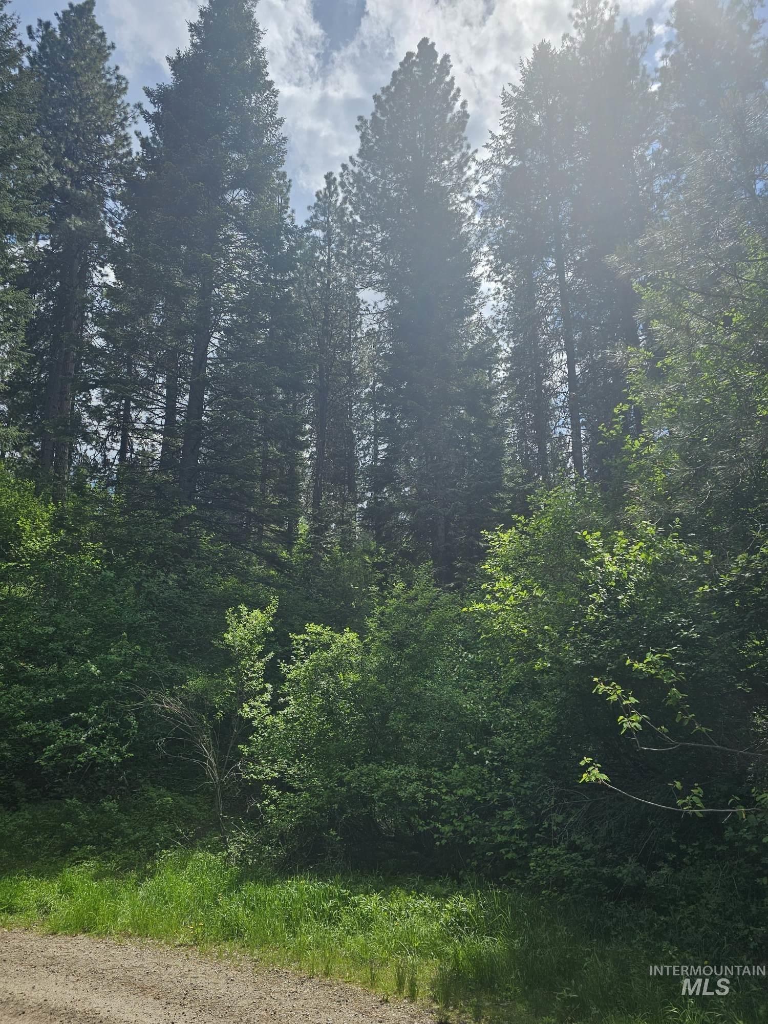Lot 16-17 Caseys Road Garden Valley, ID 83622 - Photo 8 of 8