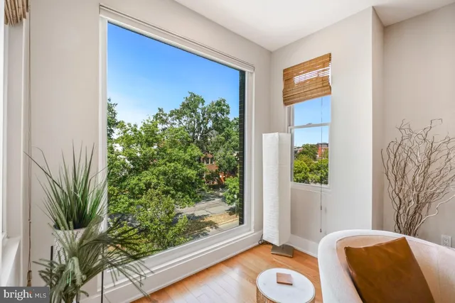 a view of a bedroom with a potted plant and a window