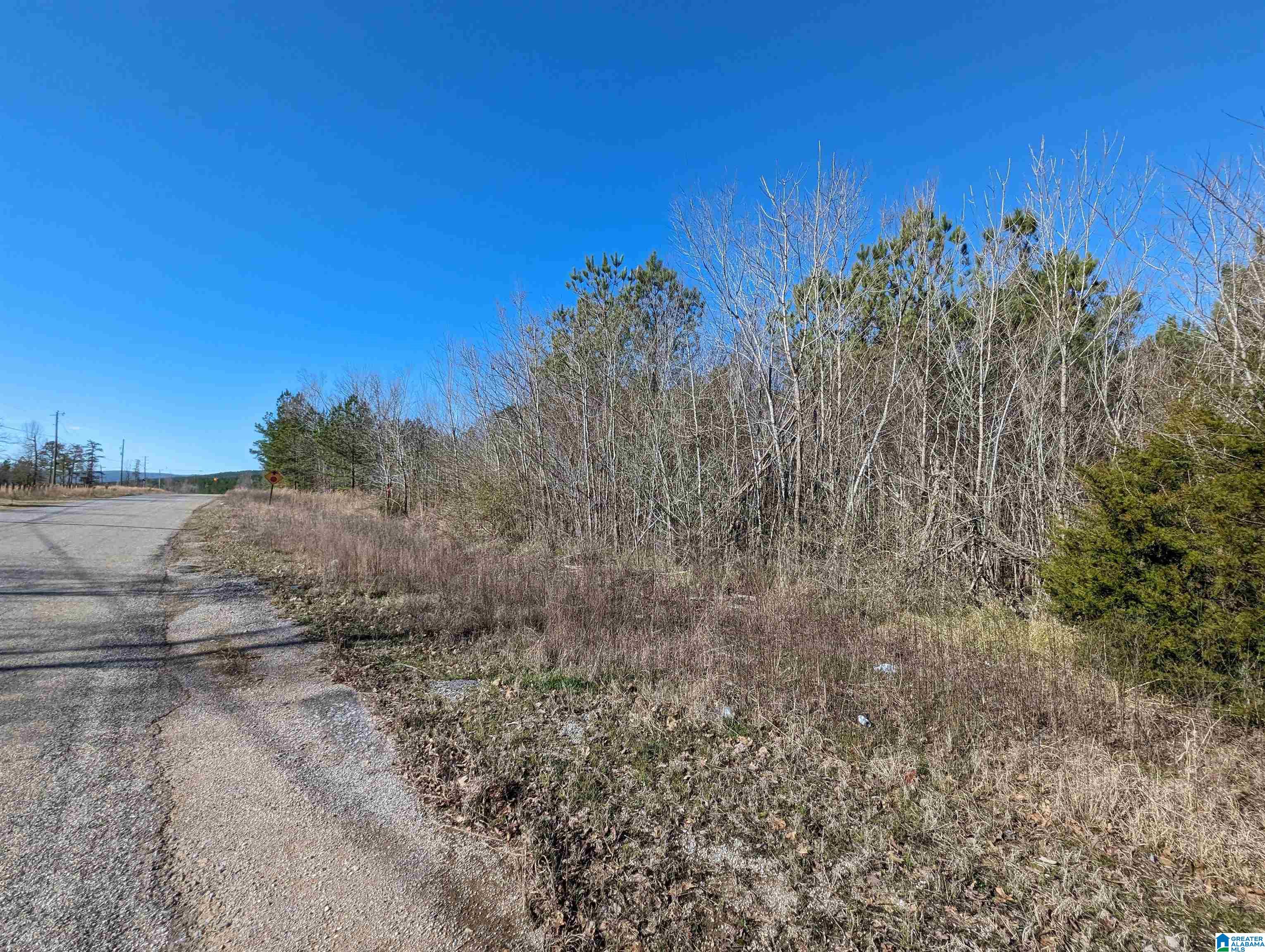0 Chandler Springs Road Talladega, AL 35160 - Photo 1 of 35