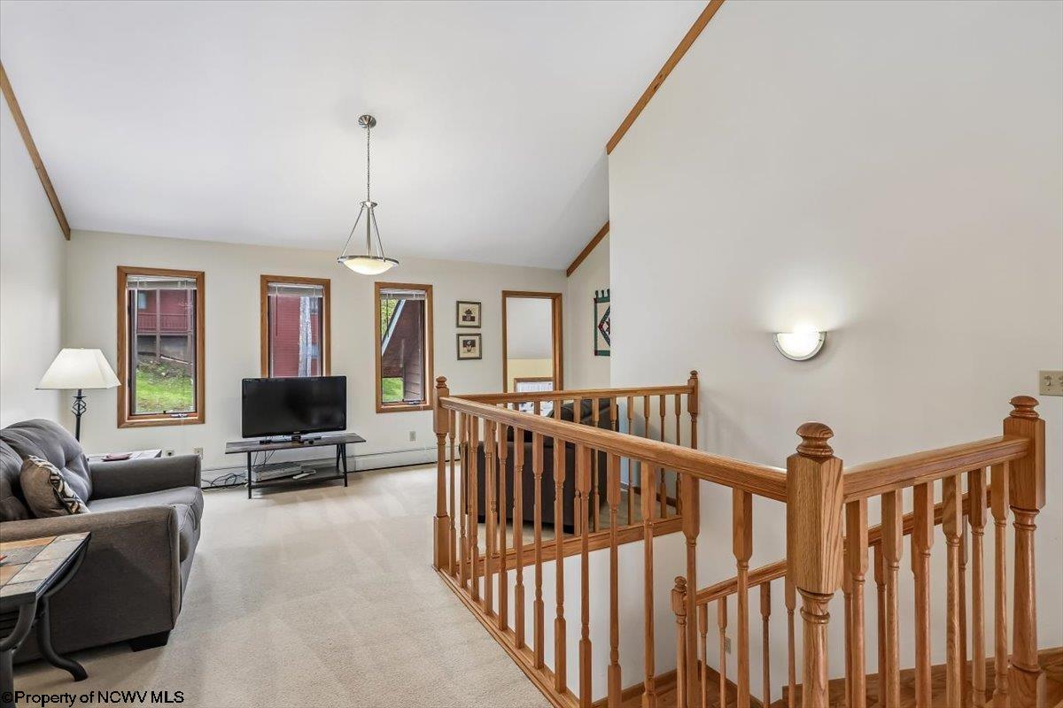 303 Slopeside Road Davis, WV 26260 - Photo 20 of 43 Gallery Image 20