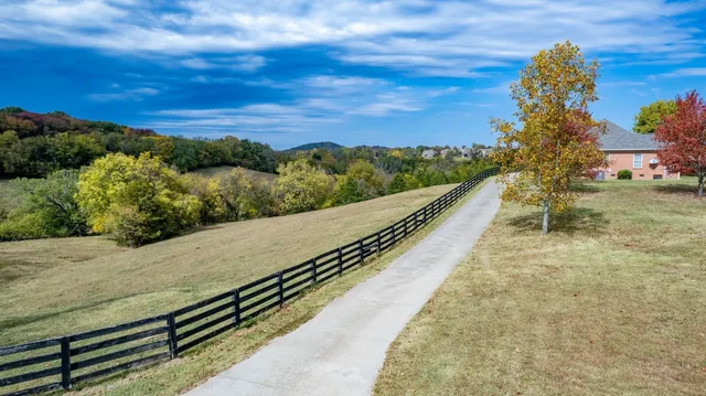 a view of a pathway with a wrought fence