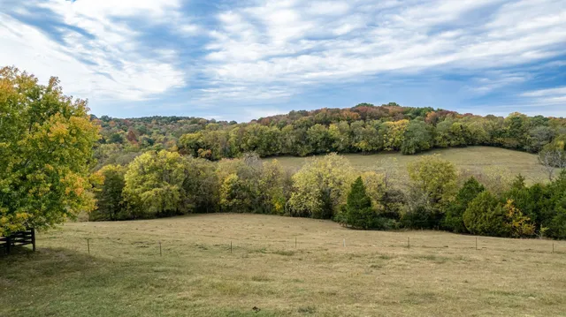 a black and white photo of a painting