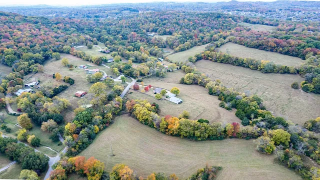 a view of a wooden floor and some plants