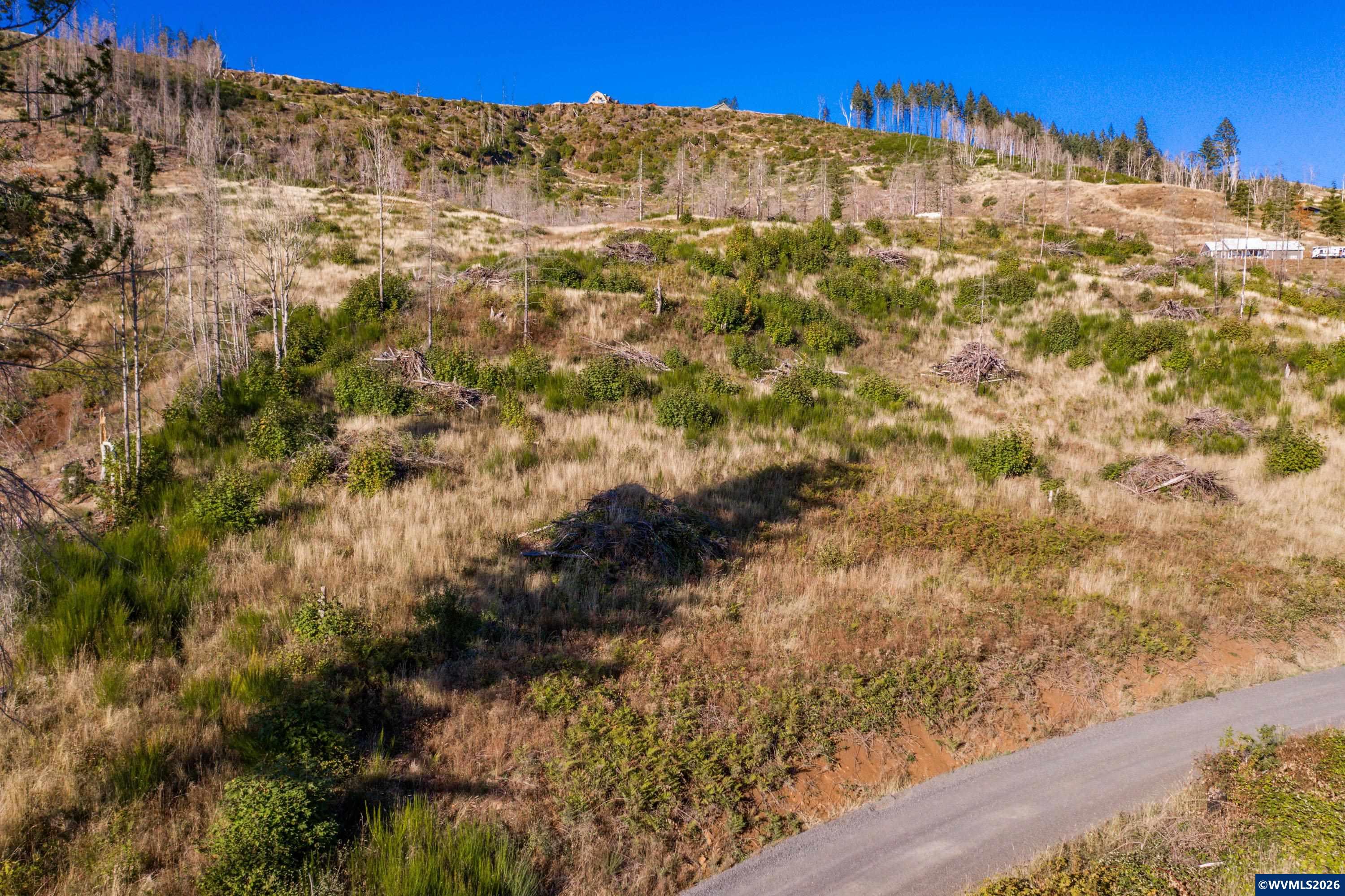 10915 Southeast Kubin Road Lyons, OR 97358 - Photo 35 of 37 a view of a field