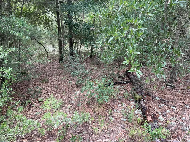 $7,500 | Lot 37 Girard Court, Alford, FL 32420