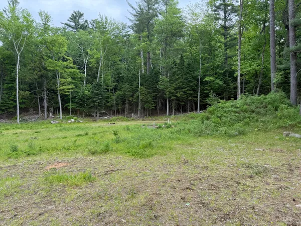 $410,000 | 0 Flower Road Way, Long Lake, NY 12847