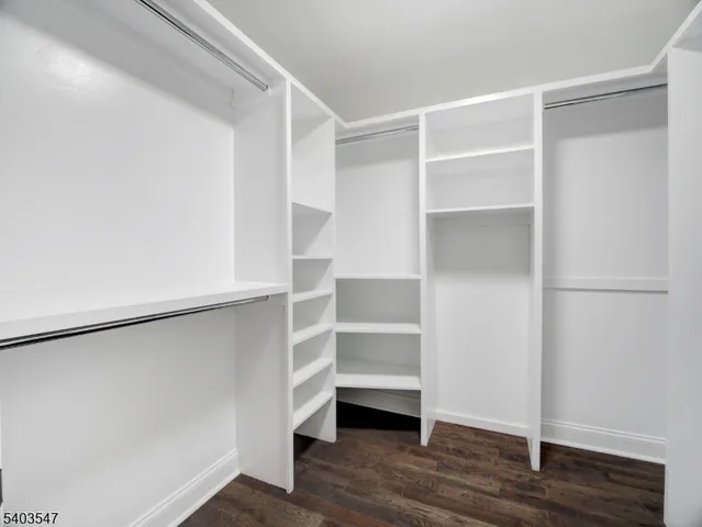 a view of walk in closet with empty racks
