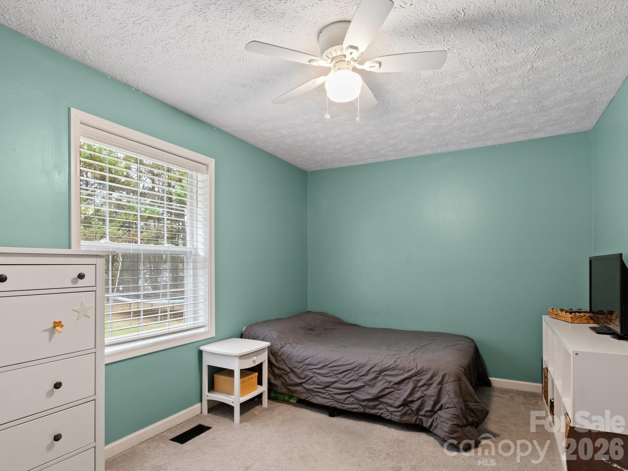 38 Brown Lynch Road Candler, NC 28715 - Photo 13 of 28