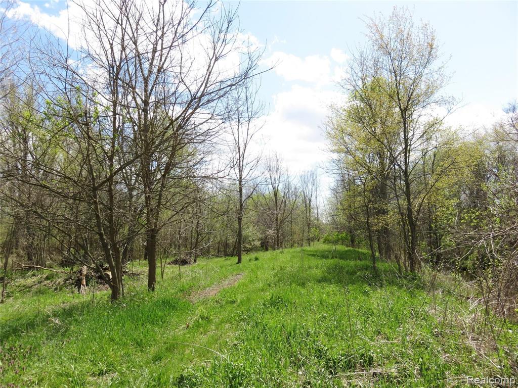 0 South Elliott Road Fowlerville, MI 48836 - Photo 10 of 22