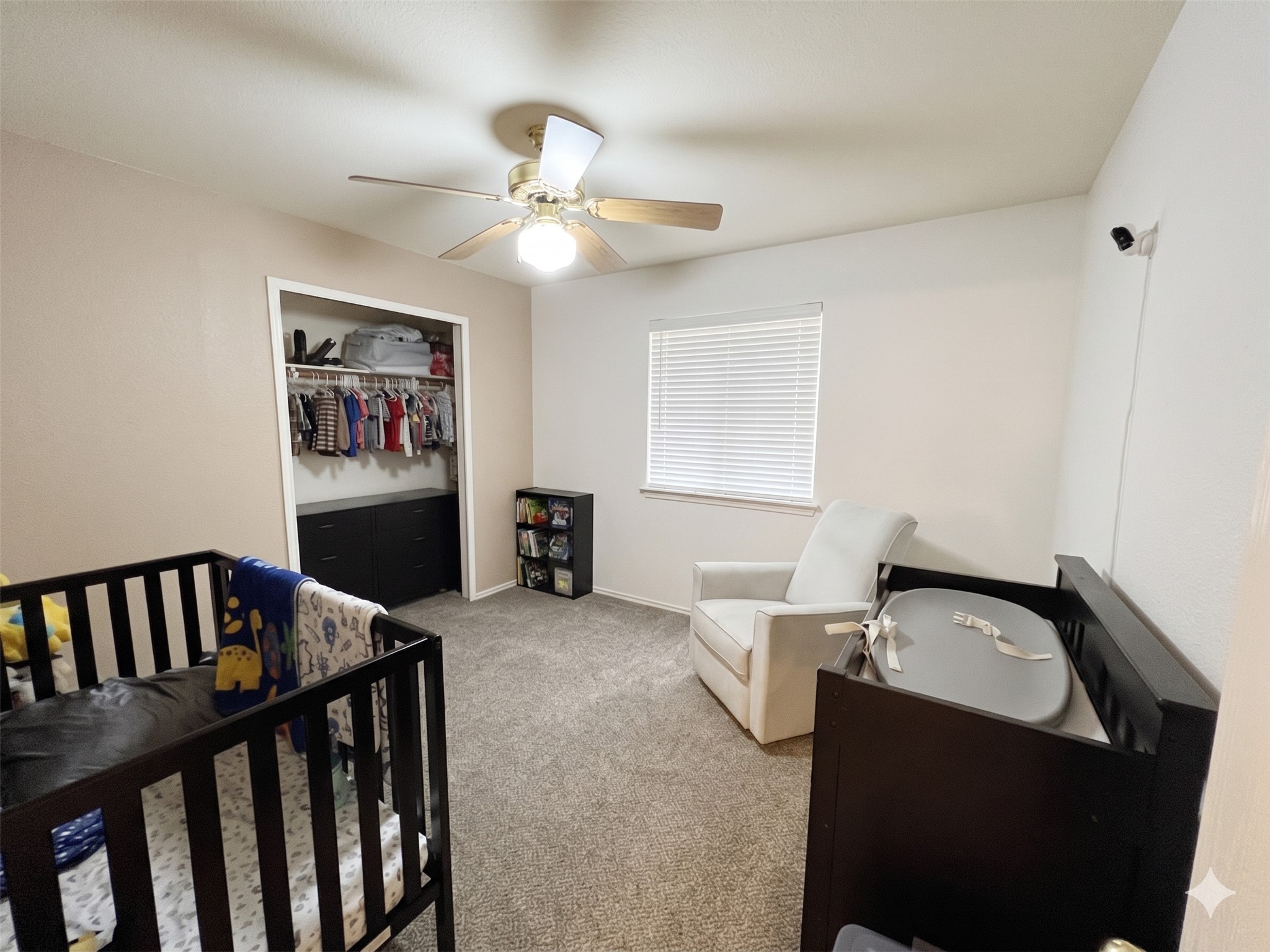 323 Precipice Way Georgetown, TX 78626 - Photo 11 of 13 Photos have been virtually staged and altered.