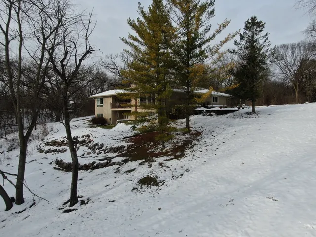 a view of a yard with a tree