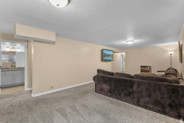 832 East Cedarview Street Tooele, UT 84074 - Photo 38 of 67