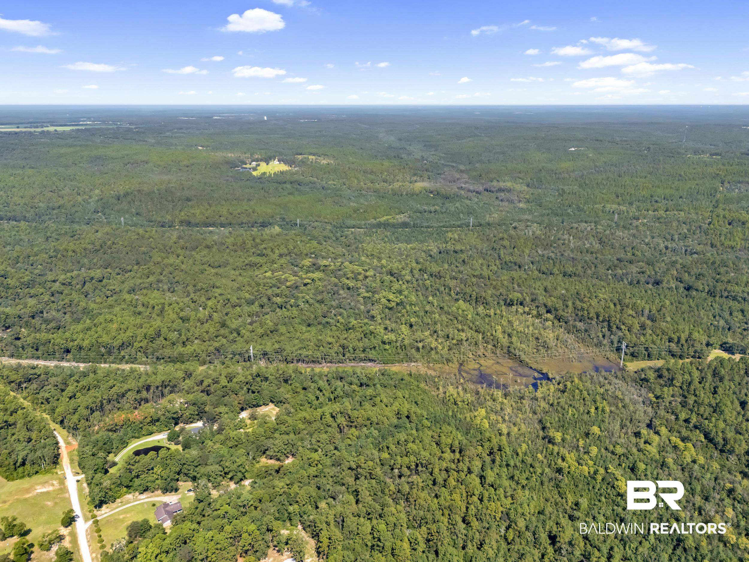0 Arden Road Chunchula, AL 36521 - Photo 11 of 18 View of property location featuring a heavily wooded area