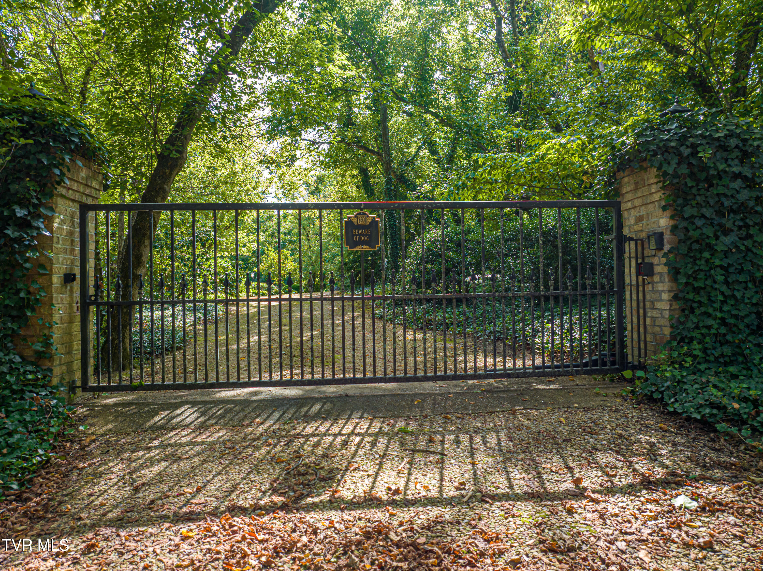 16020 Mendota Road Abingdon, VA 24210 - Photo 2 of 65 Mendota-002