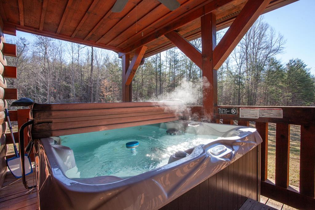 322 Hickory Br Road Whittier, NC 28789 - Photo 8 of 50