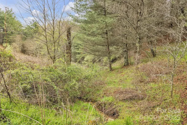 a view of a lake in middle of the town