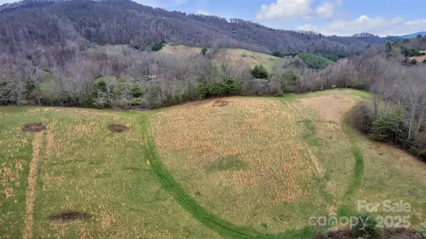 a big yard with lots of green space and plants