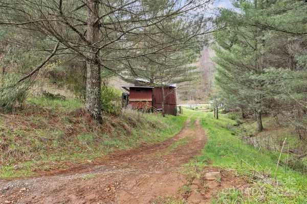 a view of a field of grass and trees