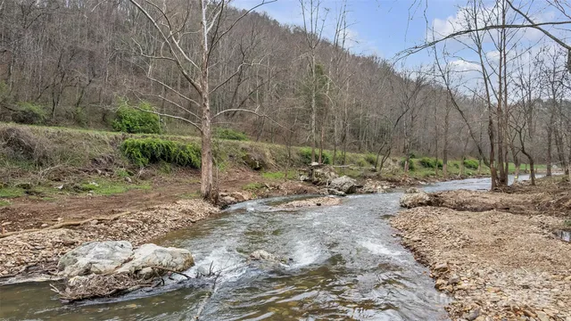 a view of a yard with a tree