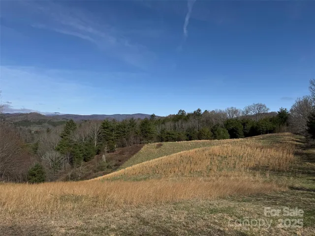 $699,950 | Tbd Big Helton Road, Grassy Creek, NC 28631