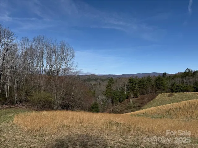 $699,950 | Tbd Big Helton Road, Grassy Creek, NC 28631