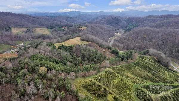 a view of a lush green hillside and a mountain